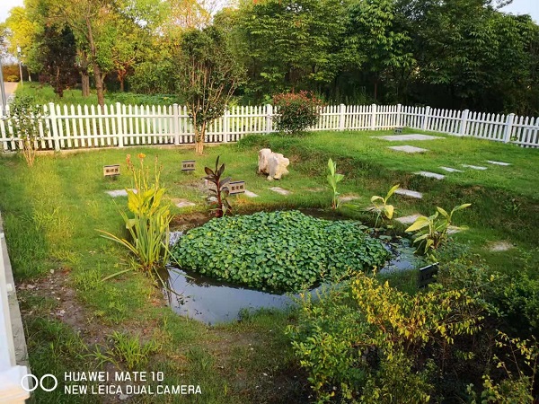 微信圖片_20200309141629.jpg 微信圖片_20200309141629.jpg